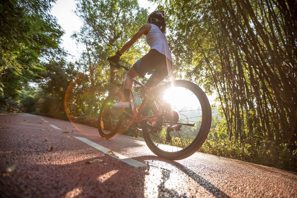 Cycling forest sport symbol