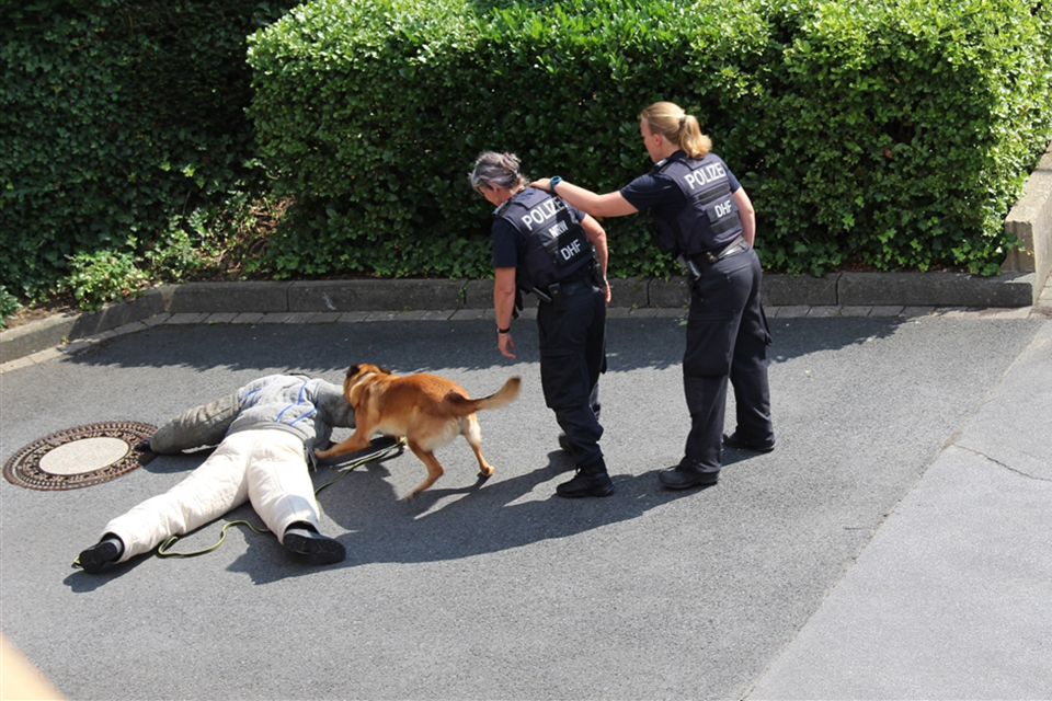 eine Personen liegt am Boden, Diensthund am Arm, zwei Diensthundführerinnen