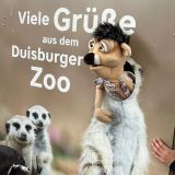 Eddi im Zoo