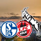 Fanbrief vor dem Spiel Schalke gegen Köln.