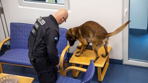 Training of a data storage detection dog