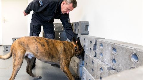 Service dog handler PHK Peter Baumeister with service dog Hank searching for data carriers.