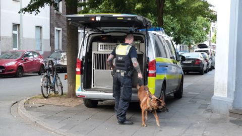 In search of money: banknote sniffer dog Gringo