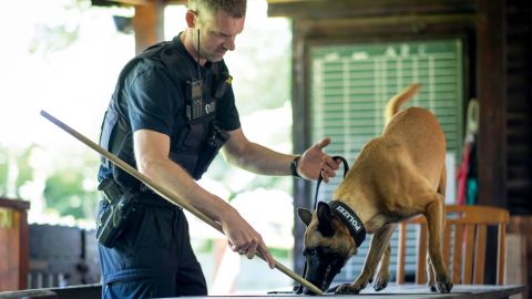 Good animal sleuths: Malinois dog Misty and police superintendent Hendrik Wannagat are a well-rehearsed team.