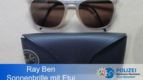 Ray Ben Sonnenbrille mit Etui